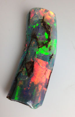 Virgin Valley Opalized Tree Branch section view one