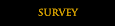 survey