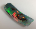 Virgin Valley Opalized Tree Branch section