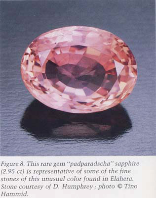 That's the Gem Business! That's the Gem Business!